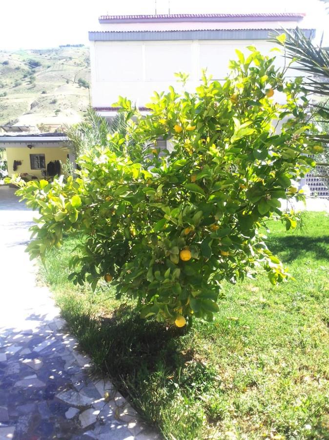 BELLE MAISON AU COEUR DES MONTAGNES DE TAZA à moins de 10 minutes de l'AGORA PARK Villa Esterno foto